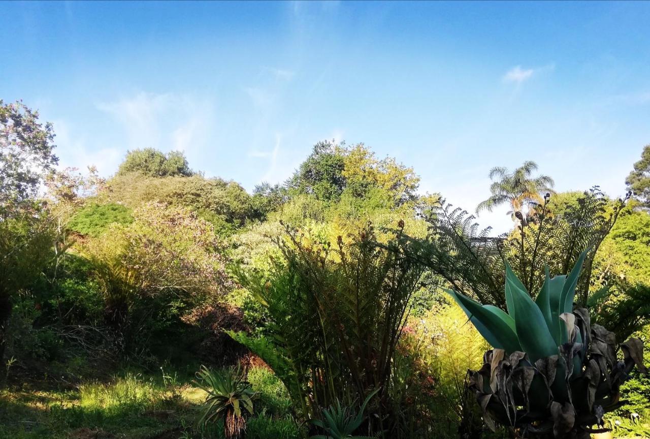 Chosen Glamping Tents Graskop Esterno foto
