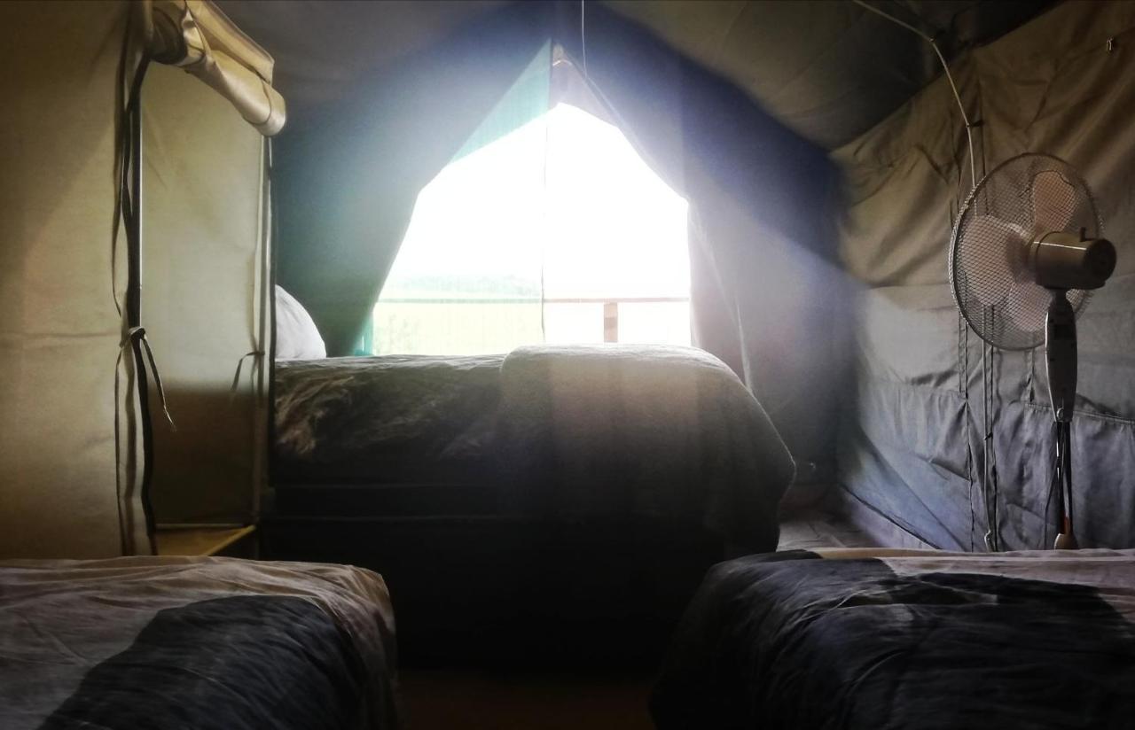 Chosen Glamping Tents Graskop Esterno foto
