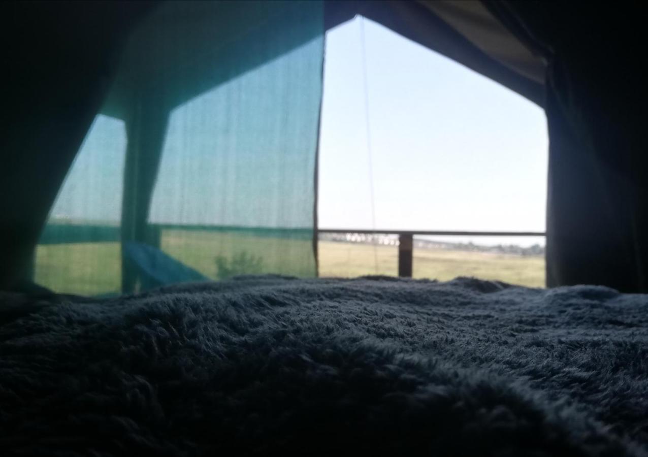 Chosen Glamping Tents Graskop Esterno foto