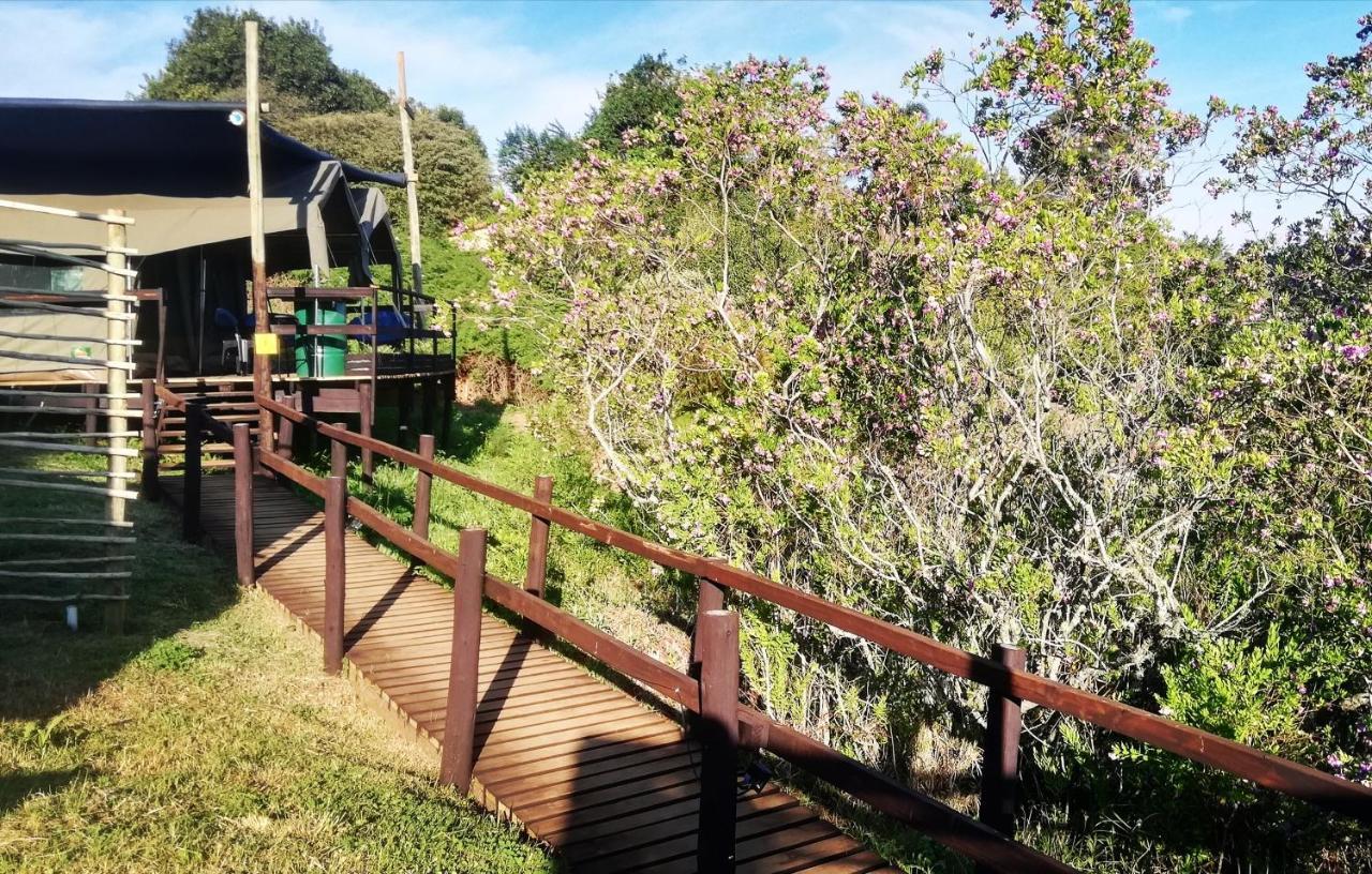 Chosen Glamping Tents Graskop Esterno foto