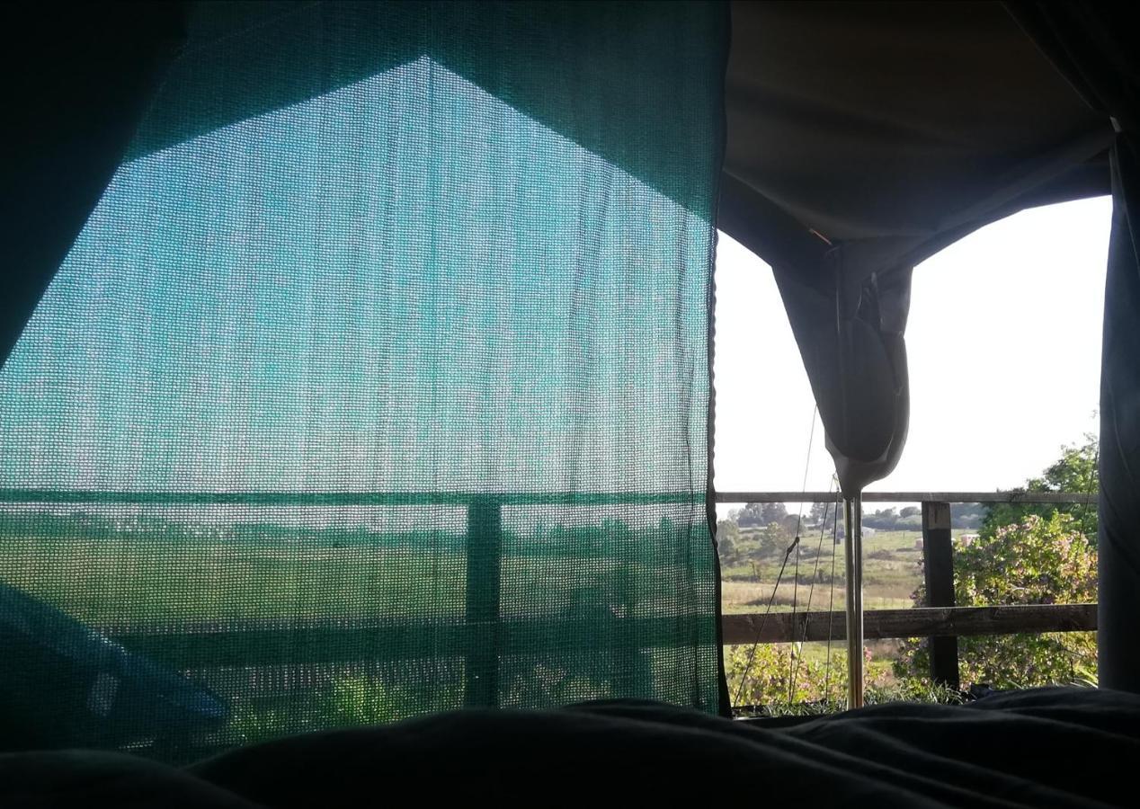 Chosen Glamping Tents Graskop Esterno foto