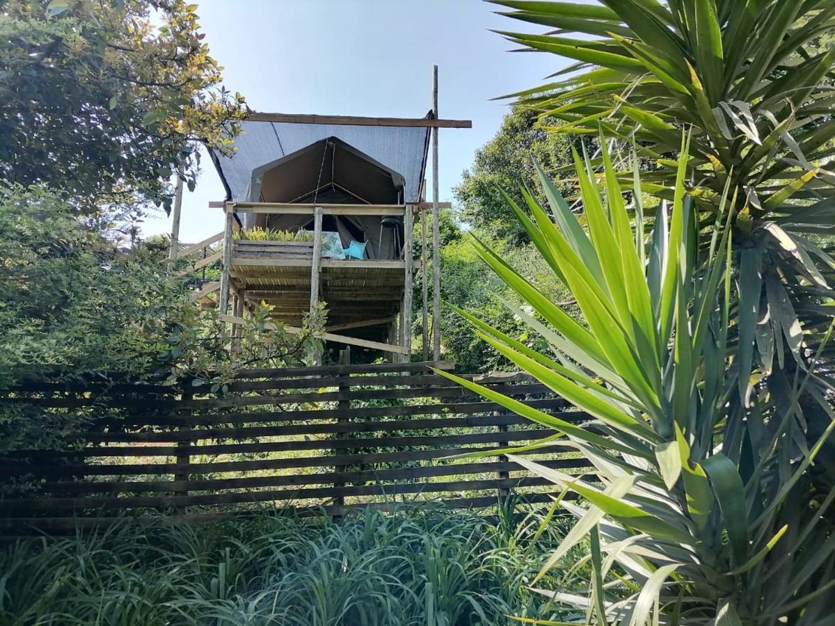 Chosen Glamping Tents Graskop Esterno foto