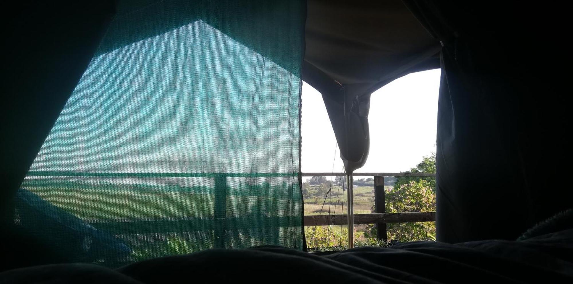 Chosen Glamping Tents Graskop Esterno foto
